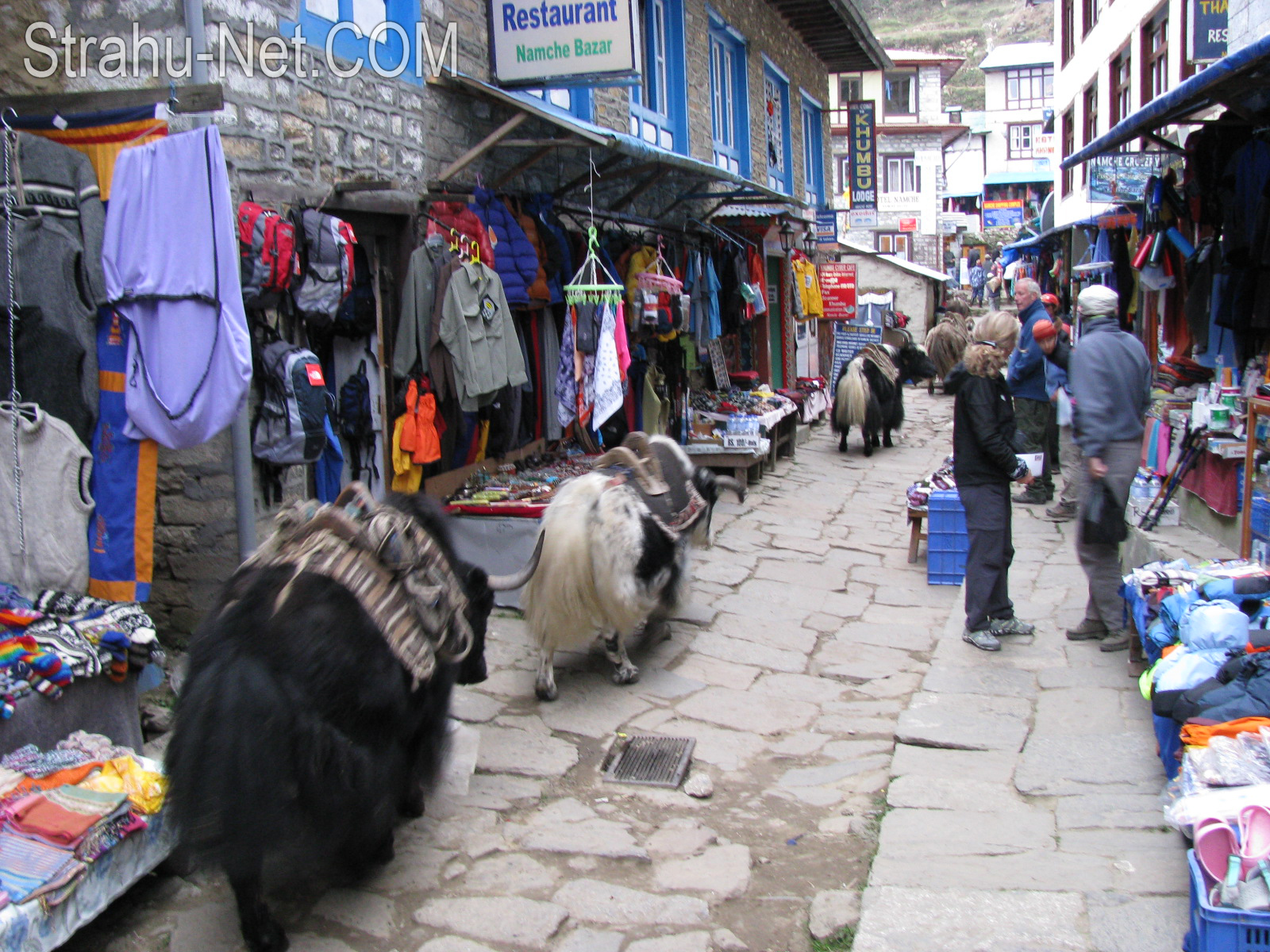 Путешествие в Гималаи
